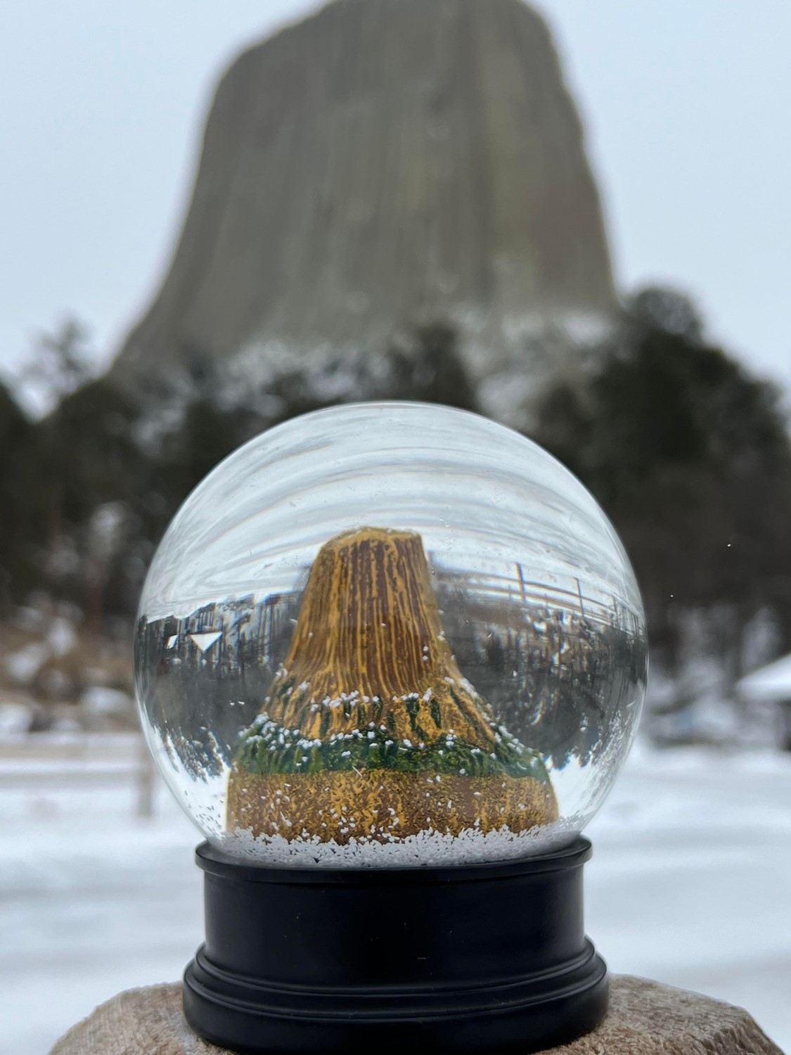 Devils Tower Snow Globe 202401-01