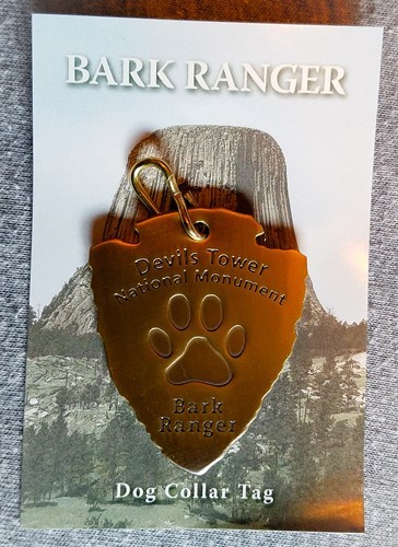 Bark Ranger Collar Tag - Large